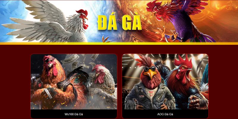 Đá Gà kịch tính hấp dẫn Đá Gà kịch tính hấp dẫn